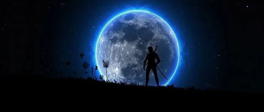 Grok 4.1 评测登顶：从双冠到体验升级的全景解读